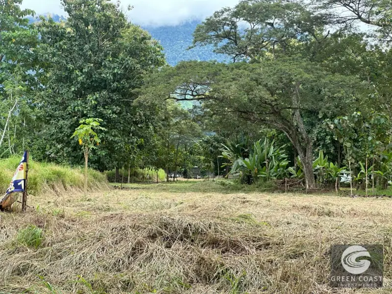 Prime 45-Hectare Development Land with Luxury Views Near Future Southern Costa Rica Airport — view 48, Palmar, Osa, Costa Rica