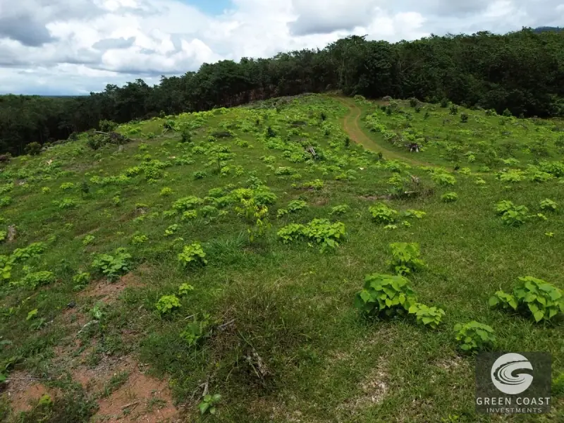 Prime 45-Hectare Development Land with Luxury Views Near Future Southern Costa Rica Airport — view 53, Palmar, Osa, Costa Rica