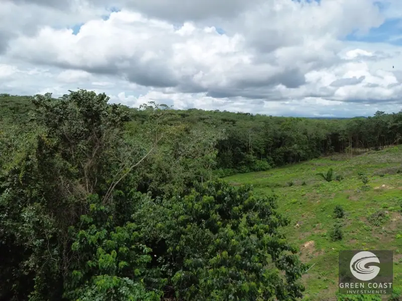 Prime 45-Hectare Development Land with Luxury Views Near Future Southern Costa Rica Airport — view 54, Palmar, Osa, Costa Rica