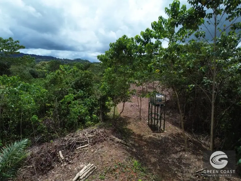 Prime 45-Hectare Development Land with Luxury Views Near Future Southern Costa Rica Airport — view 57, Palmar, Osa, Costa Rica