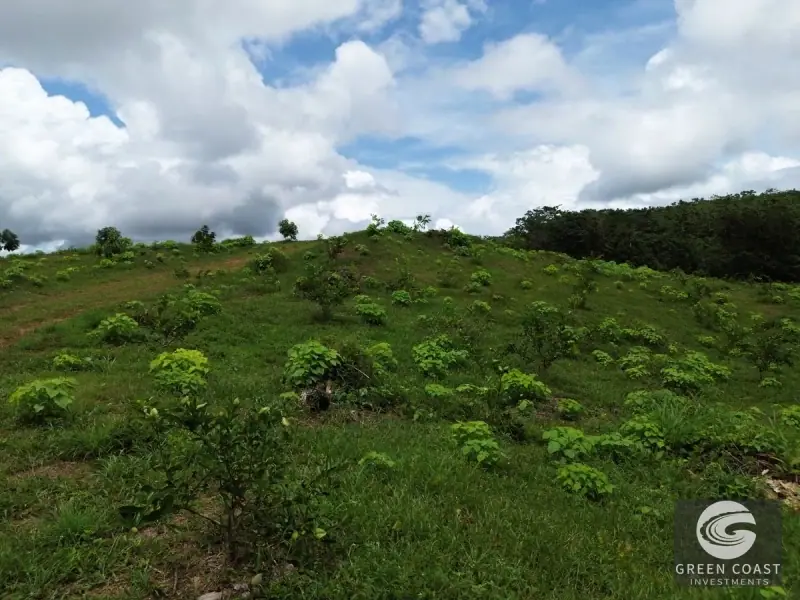 Prime 45-Hectare Development Land with Luxury Views Near Future Southern Costa Rica Airport — view 58, Palmar, Osa, Costa Rica