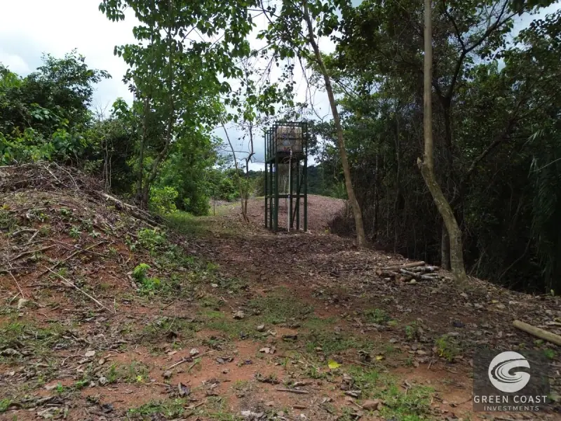 Prime 45-Hectare Development Land with Luxury Views Near Future Southern Costa Rica Airport — view 59, Palmar, Osa, Costa Rica