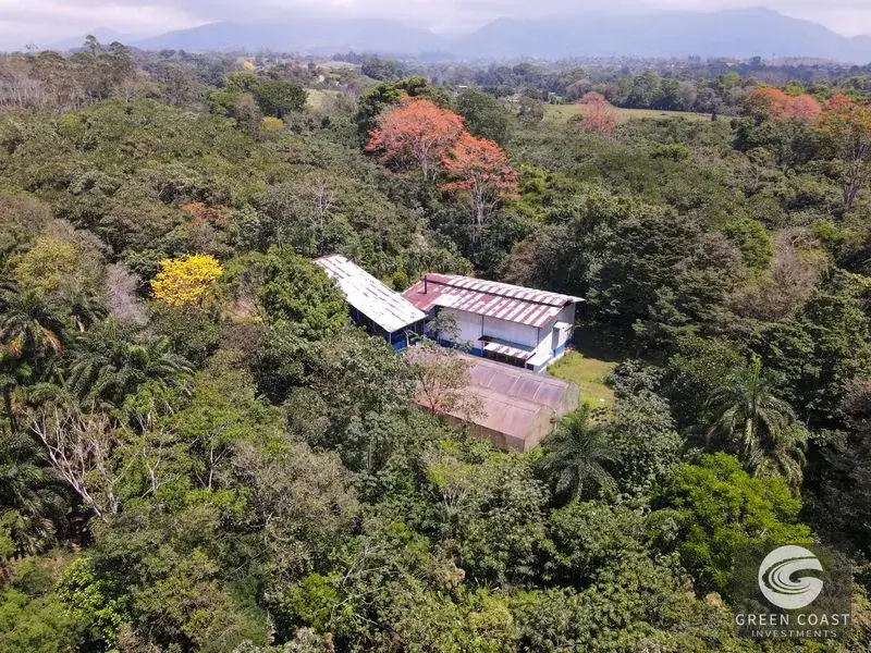 Historic 15-Hectare Organic Coffee Estate & Micro-Mill with Mountain Views in Pérez Zeledón — view 3, Cajón, Perez Zeledon, Costa Rica