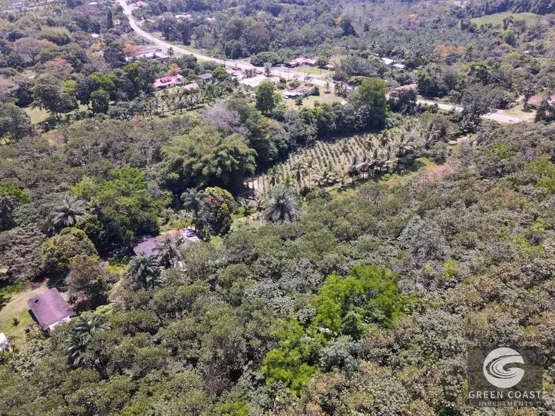 Historic 15-Hectare Organic Coffee Estate & Micro-Mill with Mountain Views in Pérez Zeledón — view 6, Cajón, Perez Zeledon, Costa Rica