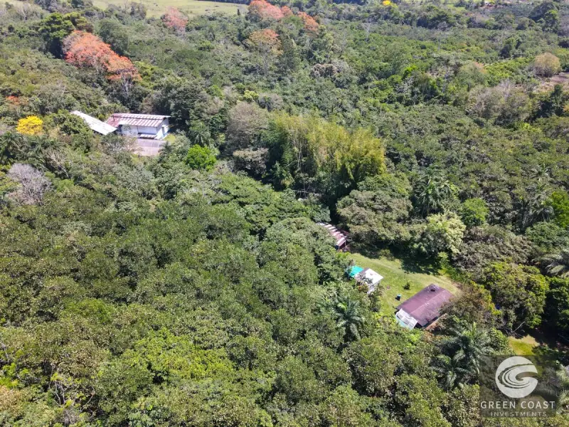 Historic 15-Hectare Organic Coffee Estate & Micro-Mill with Mountain Views in Pérez Zeledón — view 39, Cajón, Perez Zeledon, Costa Rica
