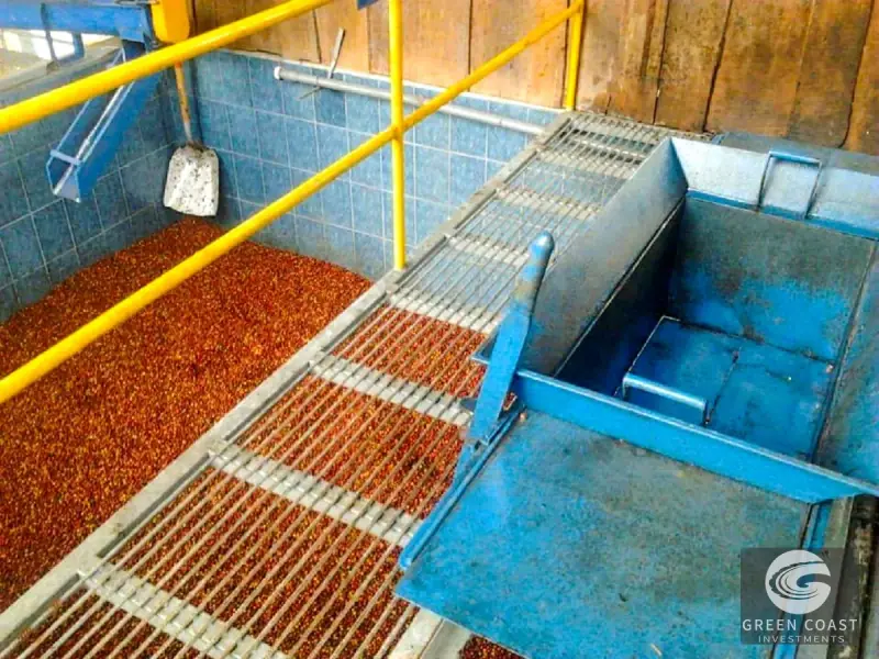 Historic 15-Hectare Organic Coffee Estate & Micro-Mill with Mountain Views in Pérez Zeledón — view 43, Cajón, Perez Zeledon, Costa Rica