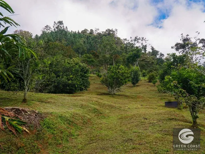 27-Acre Luxury Estate in Perez Zeledon with Panoramic Views & Flexible Seller Financing — view 6, Perez Zeledon, Costa Rica