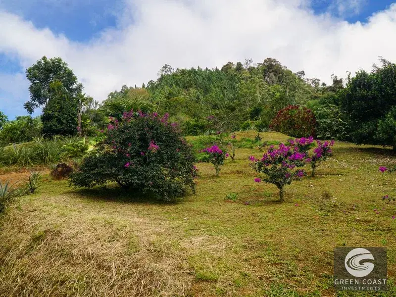 27-Acre Luxury Estate in Perez Zeledon with Panoramic Views & Flexible Seller Financing — view 8, Perez Zeledon, Costa Rica