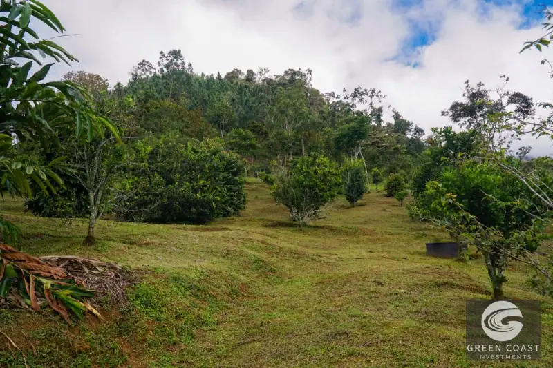 27-Acre Luxury Estate in Perez Zeledon with Panoramic Views & Flexible Seller Financing — view 40, Perez Zeledon, Costa Rica