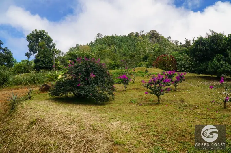 27-Acre Luxury Estate in Perez Zeledon with Panoramic Views & Flexible Seller Financing — view 42, Perez Zeledon, Costa Rica