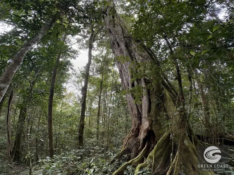 36-Acre Riverfront Eco-Haven in Perez Zeledon with Panoramic Valley Views — view 15, Rivas, Perez Zeledon, Costa Rica