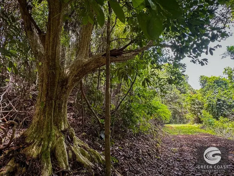 136-Acre Luxury Ocean-View Estate Near Dominical & Nauyaca Waterfalls — view 2, Dominical, Costa Rica