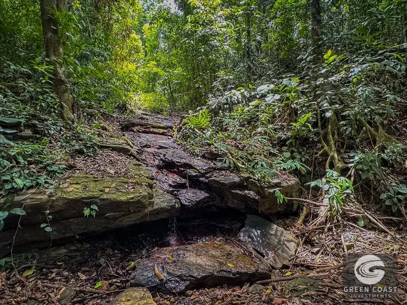136-Acre Luxury Ocean-View Estate Near Dominical & Nauyaca Waterfalls — view 4, Dominical, Costa Rica