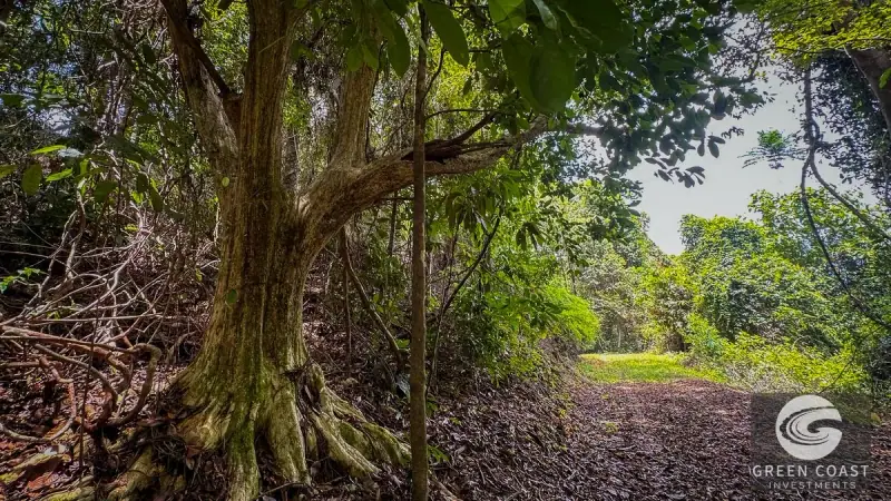 136-Acre Luxury Ocean-View Estate Near Dominical & Nauyaca Waterfalls — view 28, Dominical, Costa Rica