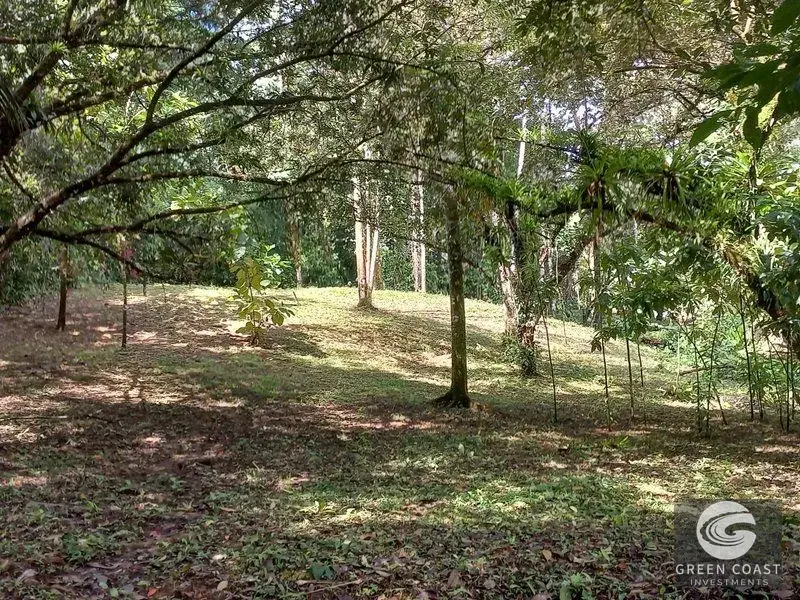 Luxury Rainforest Estate with Guest House and Creek on 4+ Acres in Ojochal — view 25, Ojochal, Ojochal, Costa Rica