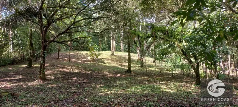 Luxury Rainforest Estate with Guest House and Creek on 4+ Acres in Ojochal — view 57, Ojochal, Ojochal, Costa Rica