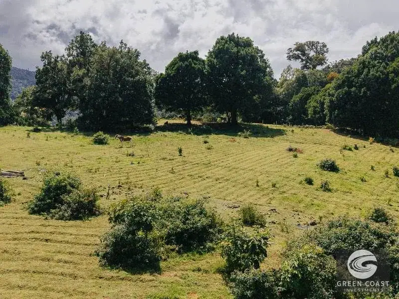 21-Hectare Luxury Mountain Farm in Dota with Breathtaking Views and Endless Eco-Tourism Potential — view 1, La Trinidad, Dota, Costa Rica