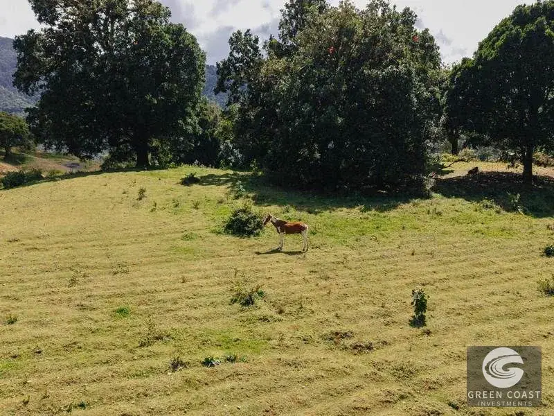 21-Hectare Luxury Mountain Farm in Dota with Breathtaking Views and Endless Eco-Tourism Potential — view 3, La Trinidad, Dota, Costa Rica