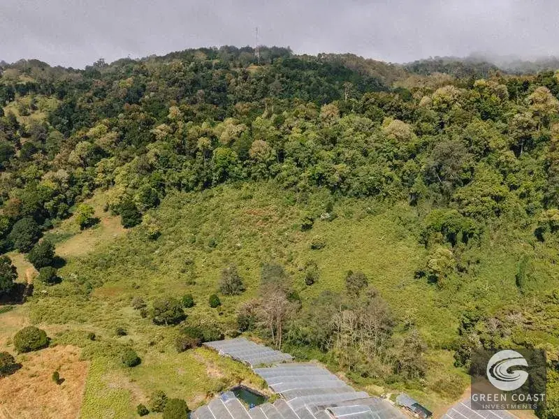 21-Hectare Luxury Mountain Farm in Dota with Breathtaking Views and Endless Eco-Tourism Potential — view 4, La Trinidad, Dota, Costa Rica