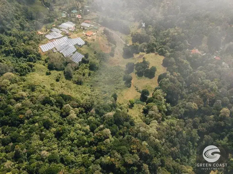 21-Hectare Luxury Mountain Farm in Dota with Breathtaking Views and Endless Eco-Tourism Potential — view 15, La Trinidad, Dota, Costa Rica