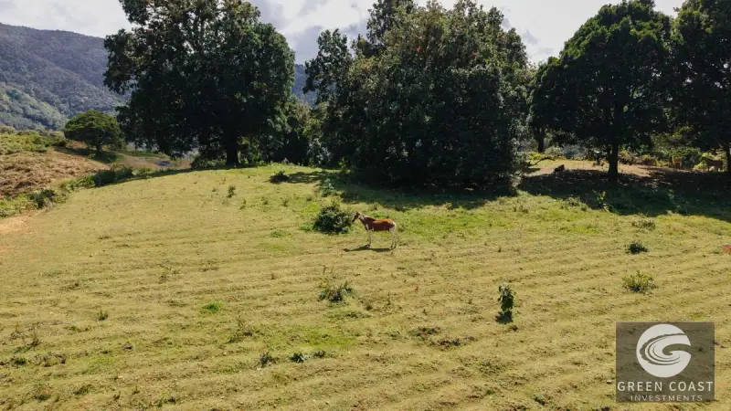 21-Hectare Luxury Mountain Farm in Dota with Breathtaking Views and Endless Eco-Tourism Potential — view 24, La Trinidad, Dota, Costa Rica