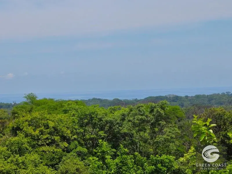 4-Hectare Ocean-View Oasis with Natural Spring: Walk to Central Uvita — view 5, Uvita, Costa Rica