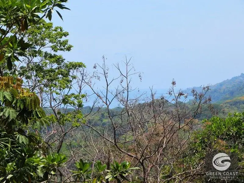 4-Hectare Ocean-View Oasis with Natural Spring: Walk to Central Uvita — view 6, Uvita, Costa Rica