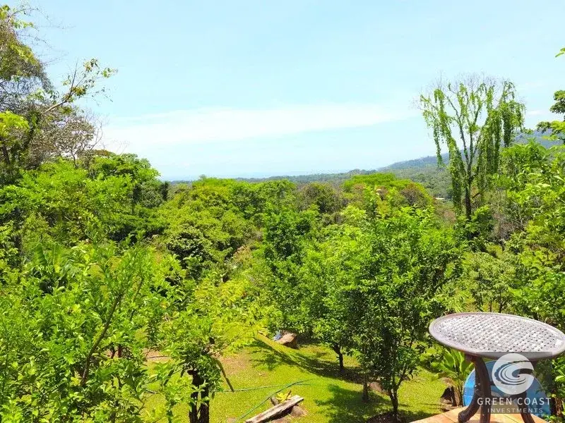 4-Hectare Ocean-View Oasis with Natural Spring: Walk to Central Uvita — view 7, Uvita, Costa Rica