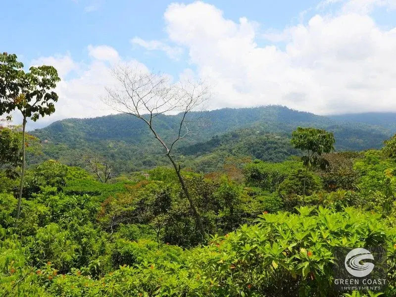 4-Hectare Ocean-View Oasis with Natural Spring: Walk to Central Uvita — view 8, Uvita, Costa Rica