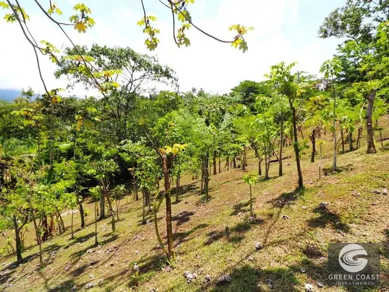 4-Hectare Ocean-View Oasis with Natural Spring: Walk to Central Uvita — view 14, Uvita, Costa Rica