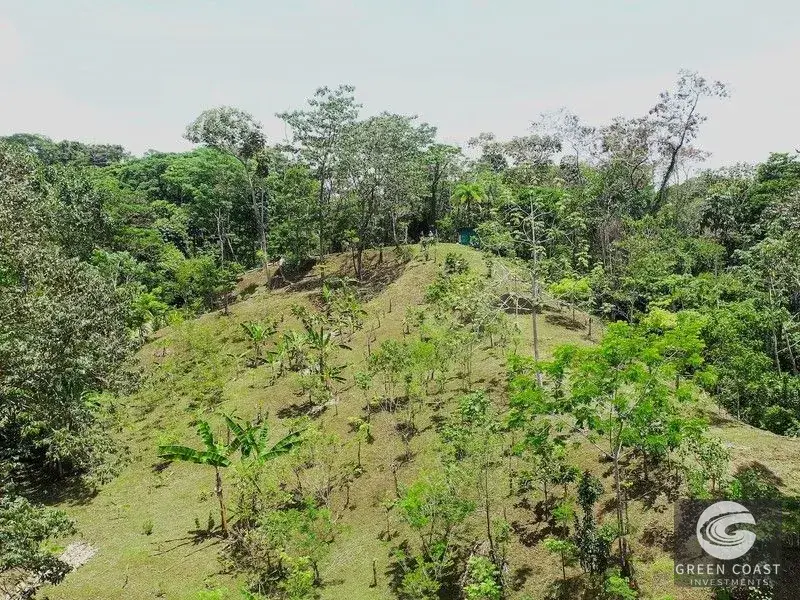 4-Hectare Ocean-View Oasis with Natural Spring: Walk to Central Uvita — view 16, Uvita, Costa Rica