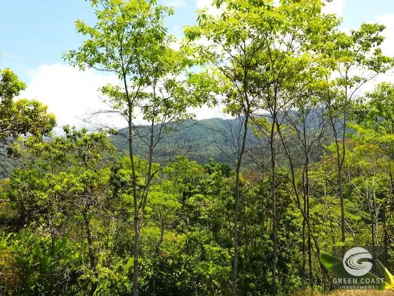 4-Hectare Ocean-View Oasis with Natural Spring: Walk to Central Uvita — view 17, Uvita, Costa Rica