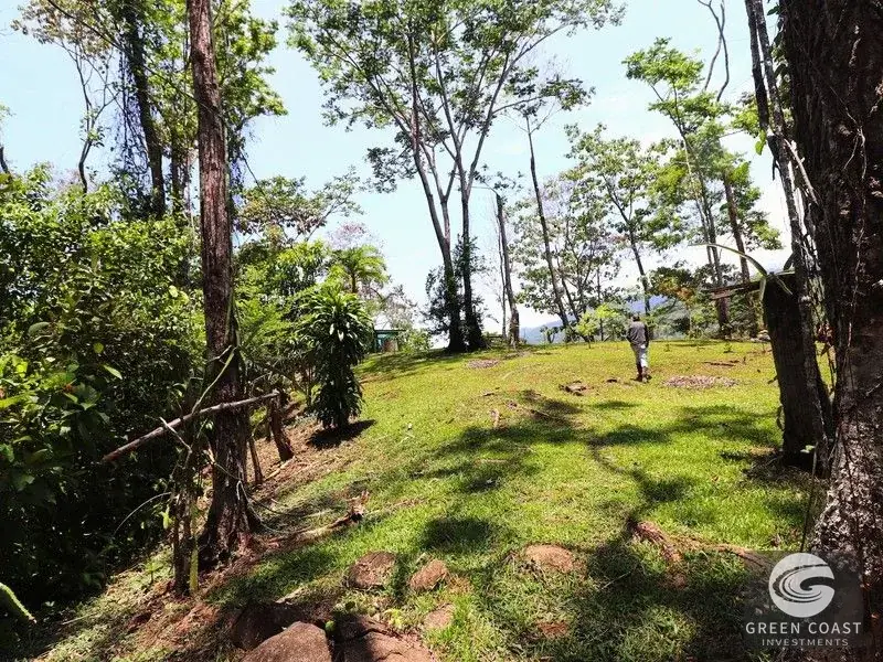 4-Hectare Ocean-View Oasis with Natural Spring: Walk to Central Uvita — view 18, Uvita, Costa Rica