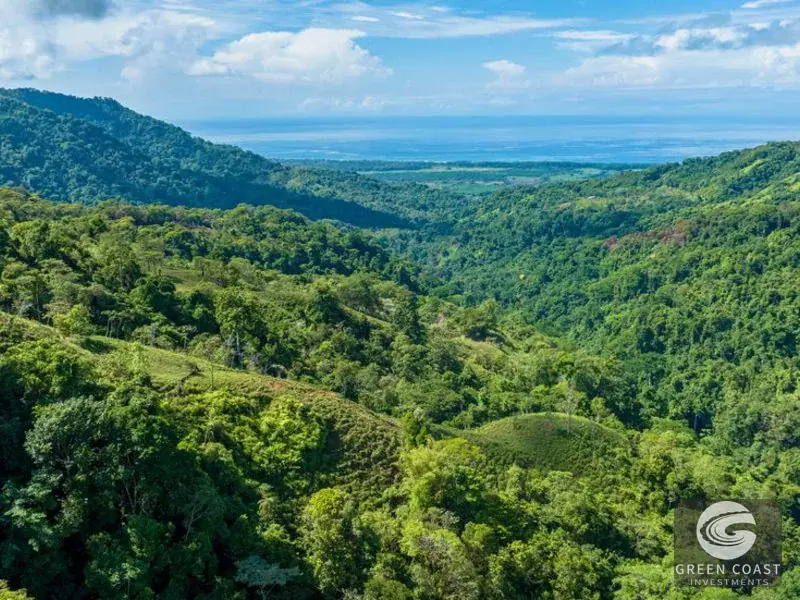 4-Hectare Ocean-View Oasis with Natural Spring: Walk to Central Uvita — view 31, Uvita, Costa Rica