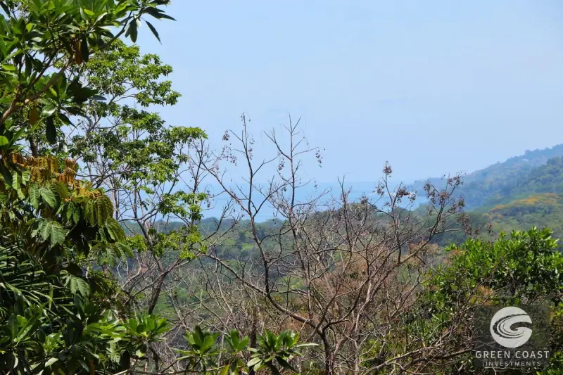 4-Hectare Ocean-View Oasis with Natural Spring: Walk to Central Uvita — view 38, Uvita, Costa Rica