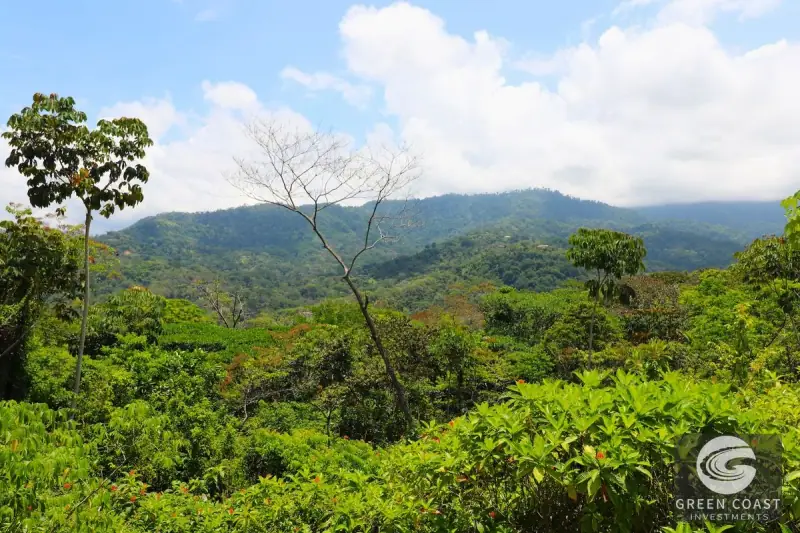 4-Hectare Ocean-View Oasis with Natural Spring: Walk to Central Uvita — view 40, Uvita, Costa Rica