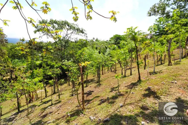 4-Hectare Ocean-View Oasis with Natural Spring: Walk to Central Uvita — view 46, Uvita, Costa Rica