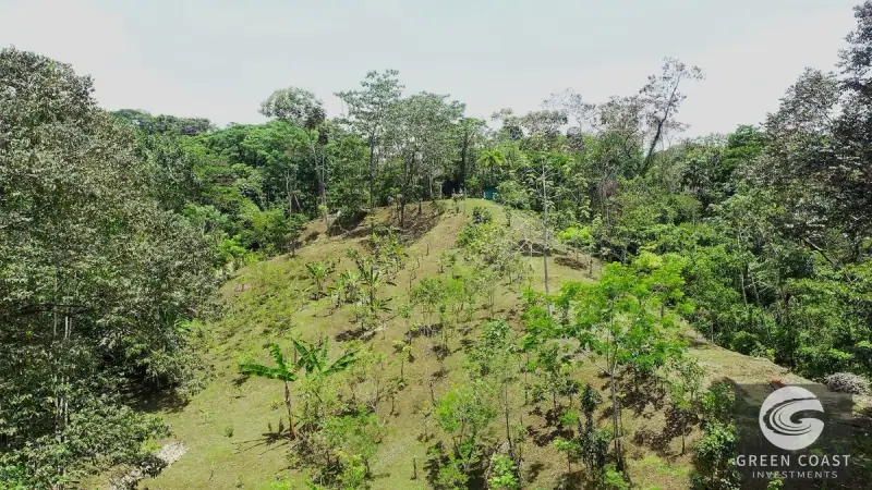 4-Hectare Ocean-View Oasis with Natural Spring: Walk to Central Uvita — view 48, Uvita, Costa Rica