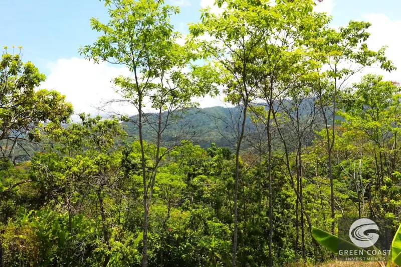 4-Hectare Ocean-View Oasis with Natural Spring: Walk to Central Uvita — view 49, Uvita, Costa Rica