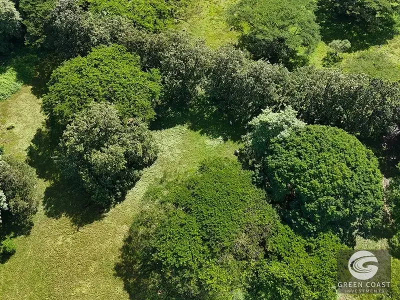 Prime 50-Acre Commercial Development Site with Highway Frontage & Mountain Views near Dominical — view 5, Dominical, Costa Rica