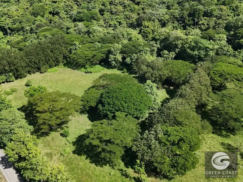 Prime 50-Acre Commercial Development Site with Highway Frontage & Mountain Views near Dominical — view 6, Dominical, Costa Rica