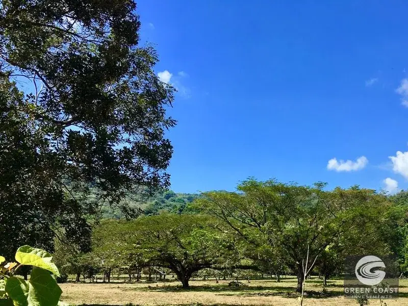 Prime 50-Acre Commercial Development Site with Highway Frontage & Mountain Views near Dominical — view 8, Dominical, Costa Rica