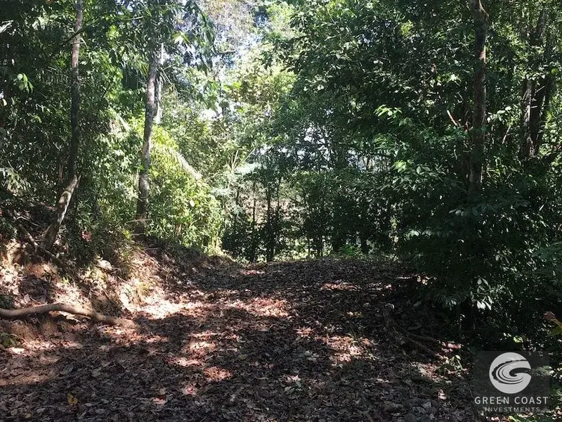 Prime 50-Acre Commercial Development Site with Highway Frontage & Mountain Views near Dominical — view 13, Dominical, Costa Rica