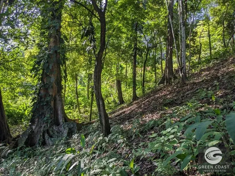 Prime 6.4-Acre Development Lot Near Punta Leona Beaches — view 18, Punta Leona, Costa Rica