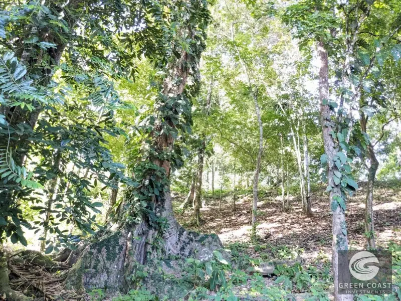 Prime 6.4-Acre Development Lot Near Punta Leona Beaches — view 39, Punta Leona, Costa Rica