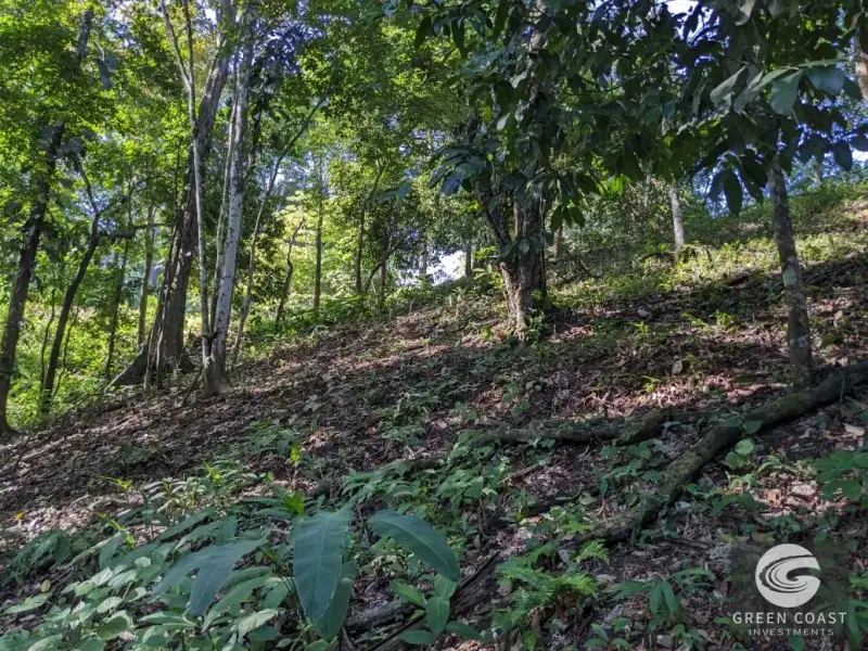 Prime 6.4-Acre Development Lot Near Punta Leona Beaches — view 46, Punta Leona, Costa Rica