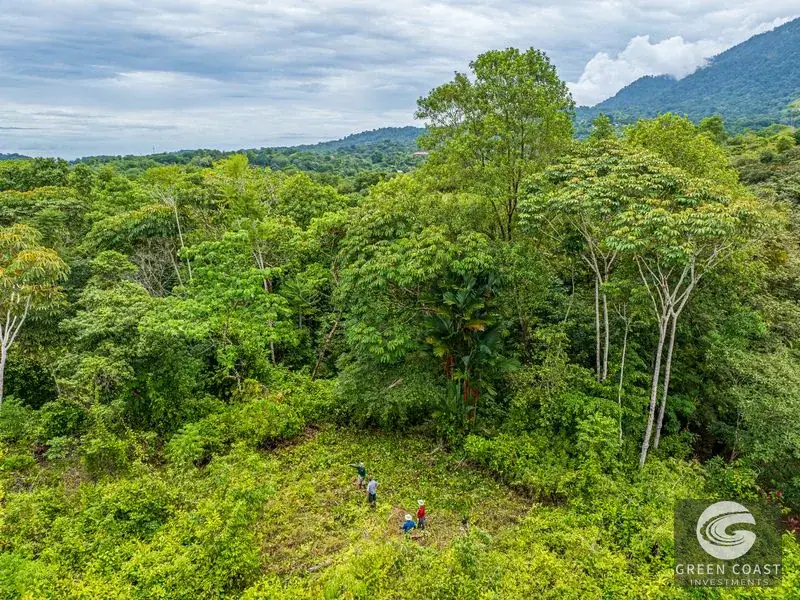 5-Bed Luxury Rainforest Estate with Guest House and 11 Private Acres in Ojochal — view 17, Ojochal, Costa Rica