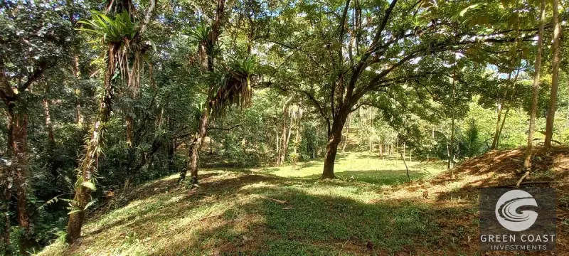 5-Bed Luxury Rainforest Estate with Guest House and 11 Private Acres in Ojochal — view 60, Ojochal, Costa Rica