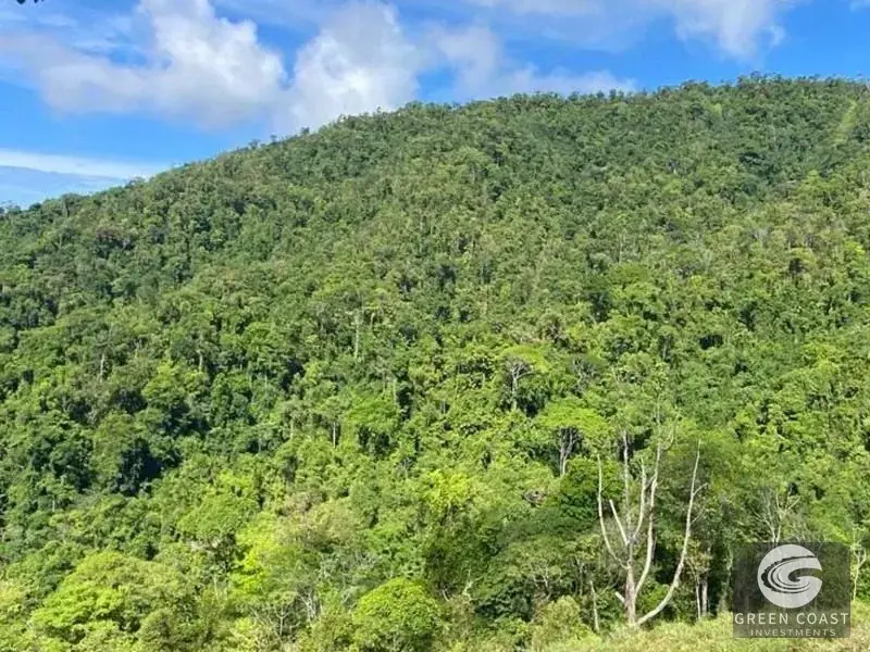 238-Acre Ocean View Development Land with Private Waterfall in Portalon — view 14, Dominical, Costa Rica