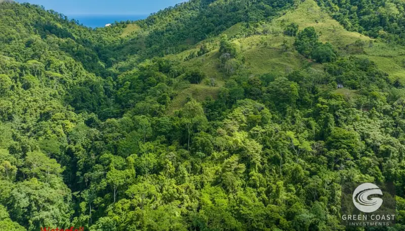 238-Acre Ocean View Development Land with Private Waterfall in Portalon — view 38, Dominical, Costa Rica